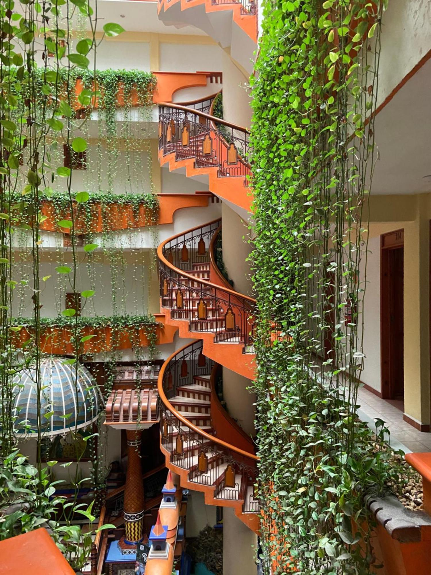 Baez Carrizal Hotel