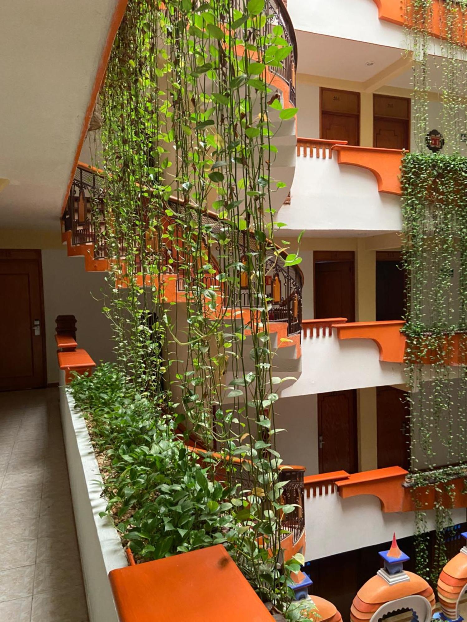 Hotel Baez Carrizal 3*