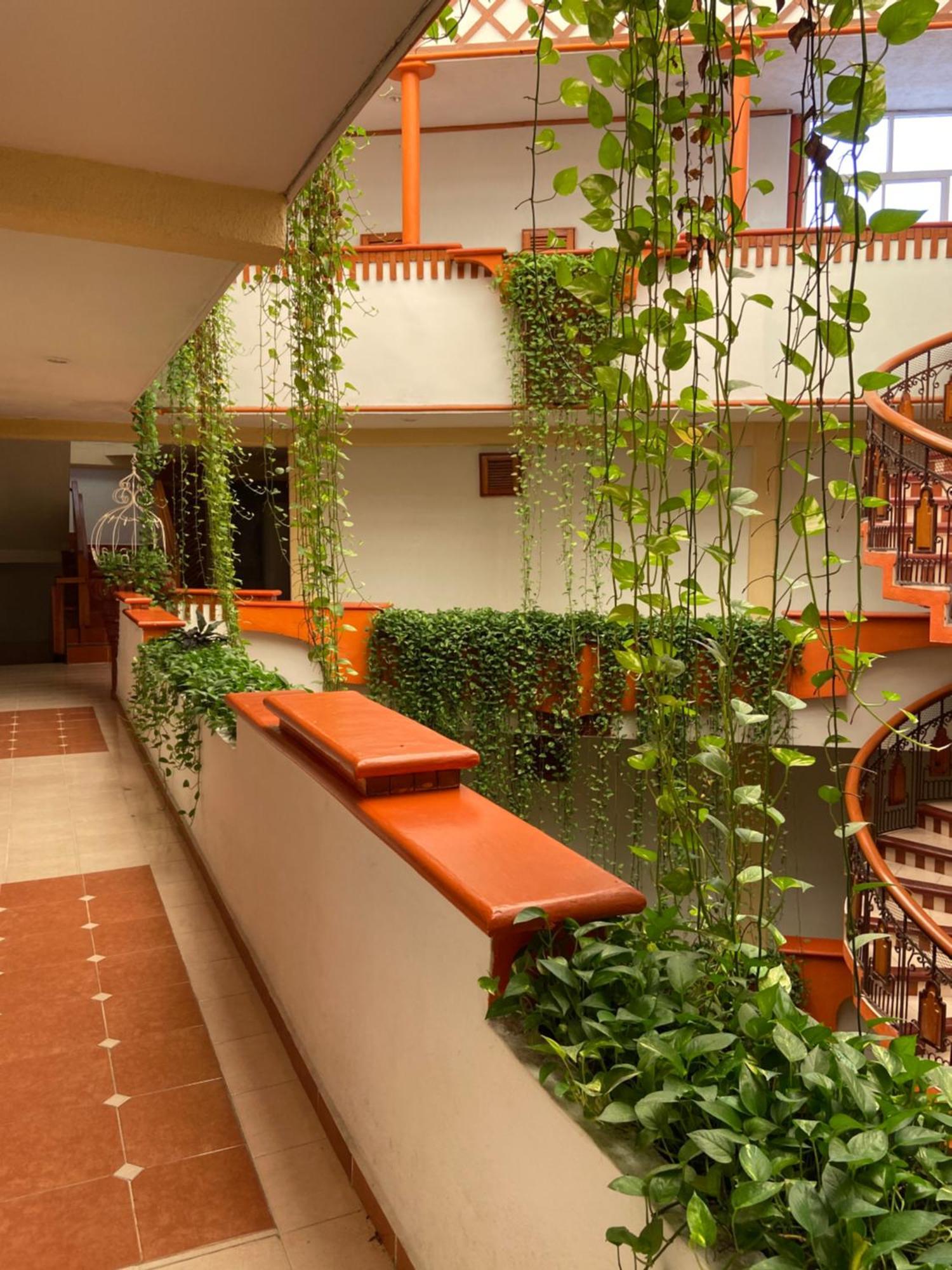 Báez Carrizal 3* Villahermosa
